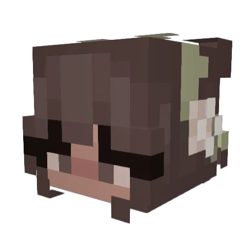Hopefullx Minecraft avatar head, 3D render