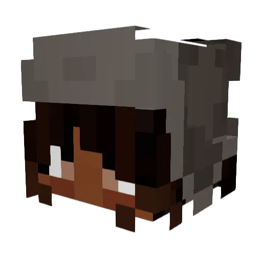 Hopegasm Minecraft avatar head, 3D render