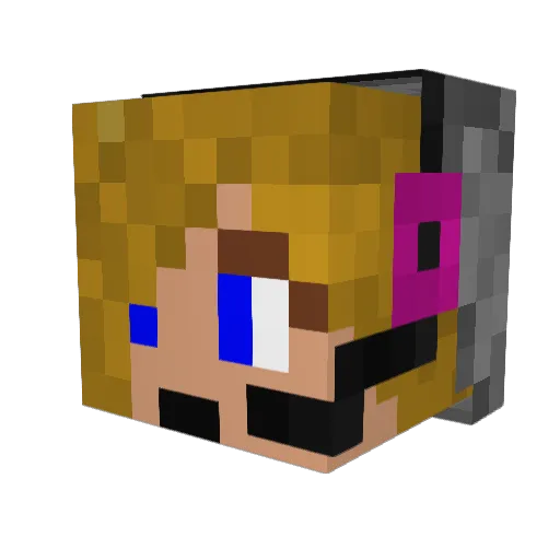 HopelessBird Minecraft avatar head, 3D render