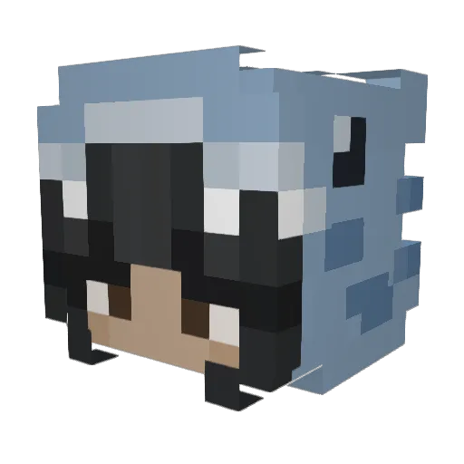HopelessMelonn Minecraft avatar head, 3D render