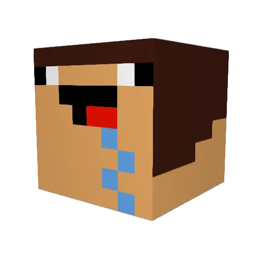 HopelessN00b Minecraft avatar head, 3D render