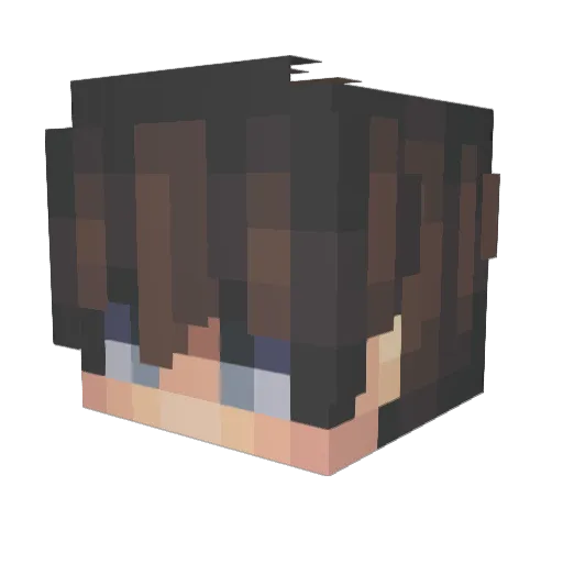 Hoperus Minecraft avatar head, 3D render