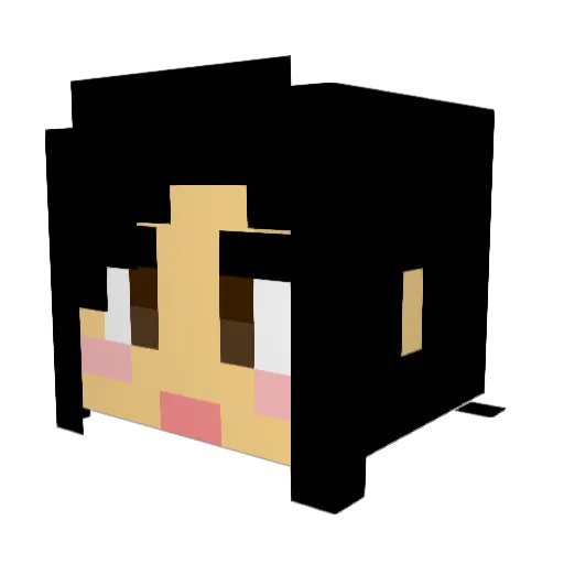 Hopexxx Minecraft avatar head, 3D render