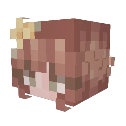 HopeyPopey119 Minecraft avatar head, 3D render