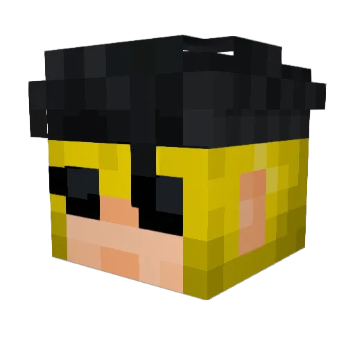 HopingTomcat198 Minecraft avatar head, 3D render