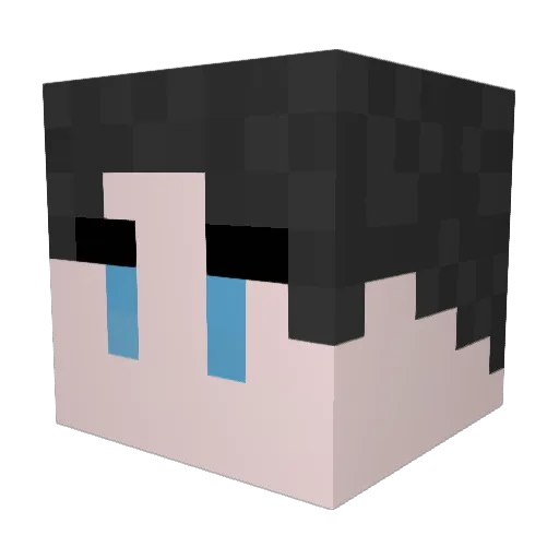 Hopis02 Minecraft avatar head, 3D render