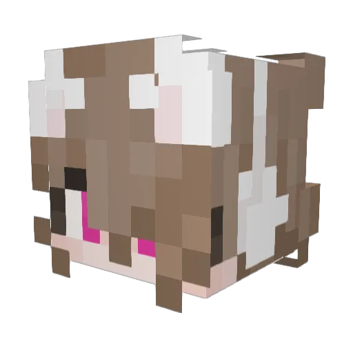 Hopje9 Minecraft avatar head, 3D render