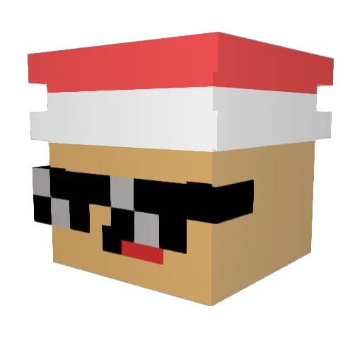 Hoplaschorsch Minecraft avatar head, 3D render