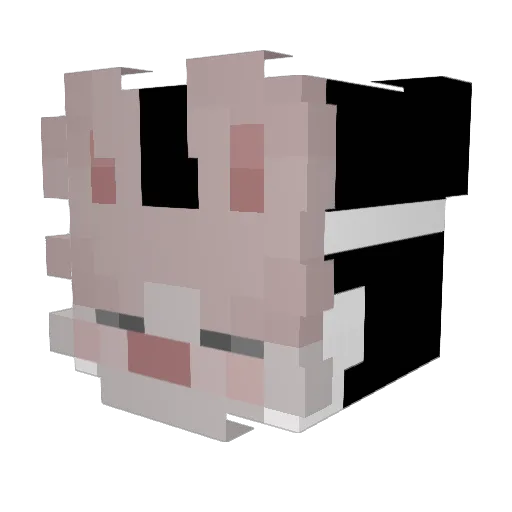 HoppKind Minecraft avatar head, 3D render