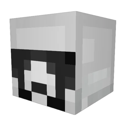 Hopp_ Minecraft avatar head, 3D render