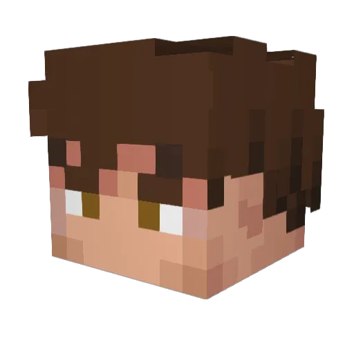Hoppe705 Minecraft avatar head, 3D render