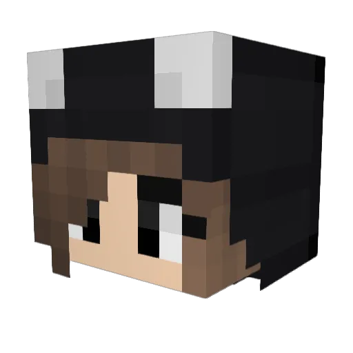 HoppedLera00 Minecraft avatar head, 3D render