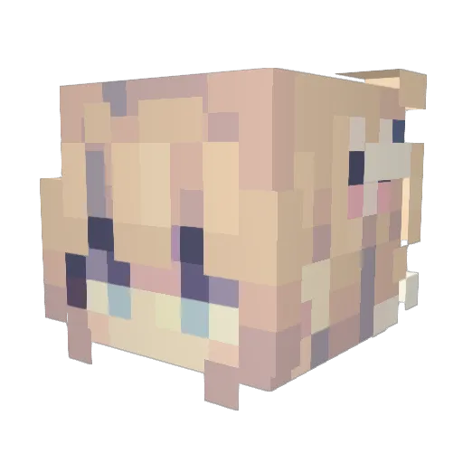 Hoppel02 Minecraft avatar head, 3D render