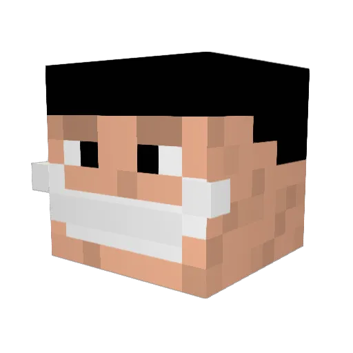 Hopper089 Minecraft avatar head, 3D render