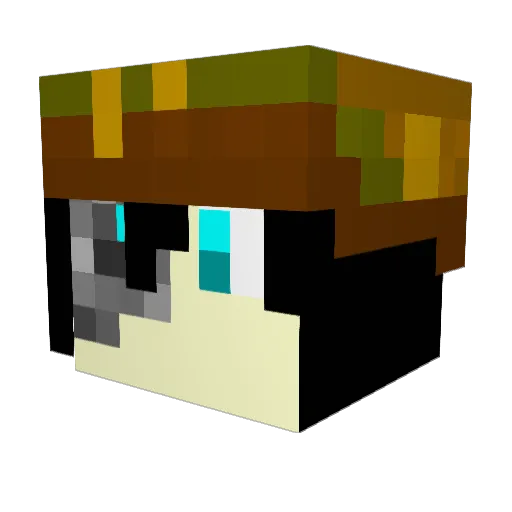 HopperSkotch Minecraft avatar head, 3D render