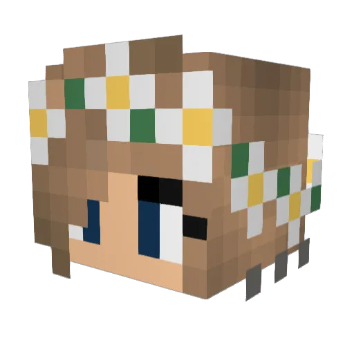 Hopper_2002 Minecraft avatar head, 3D render