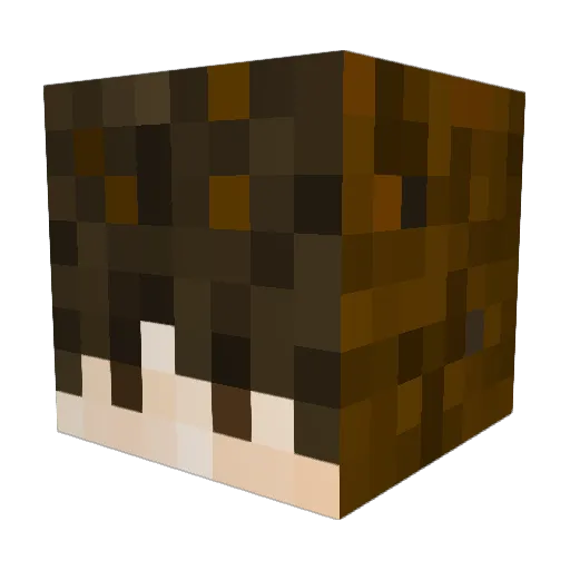 Hopper_Boy Minecraft avatar head, 3D render