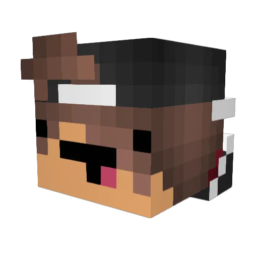 Hopperzs Minecraft avatar head, 3D render