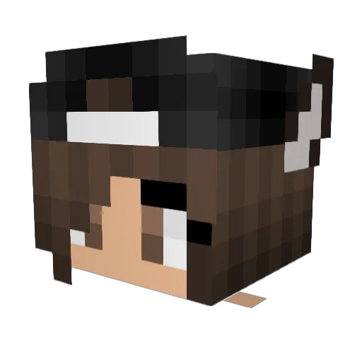HoppingPotatoe Minecraft avatar head, 3D render