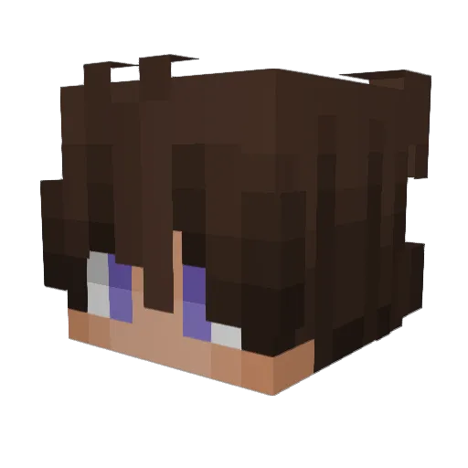 Hoppingpandas Minecraft avatar head, 3D render