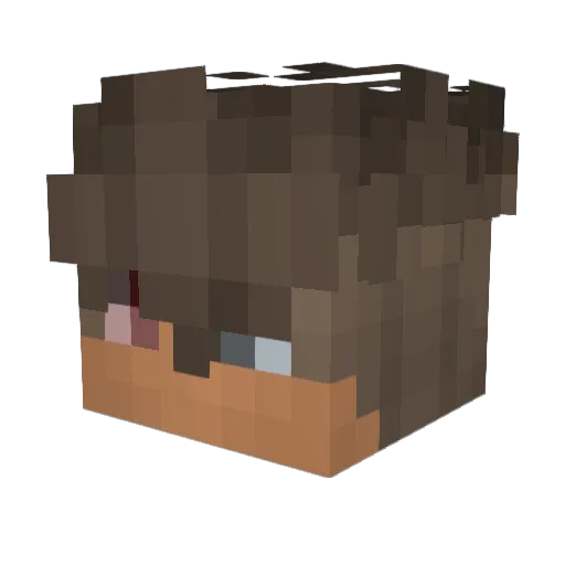 Hoppip657 Minecraft avatar head, 3D render