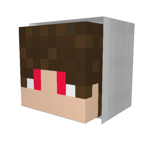 Hoppiz Minecraft avatar head, 3D render