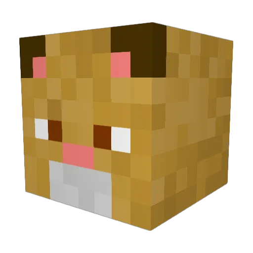 Hops_Da Minecraft avatar head, 3D render