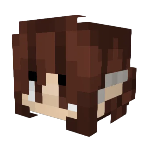 Hopshire Minecraft avatar head, 3D render