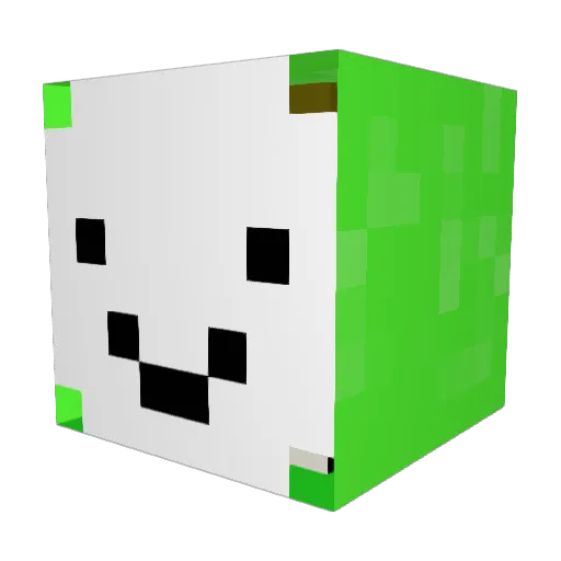 Hopster123456 Minecraft avatar head, 3D render