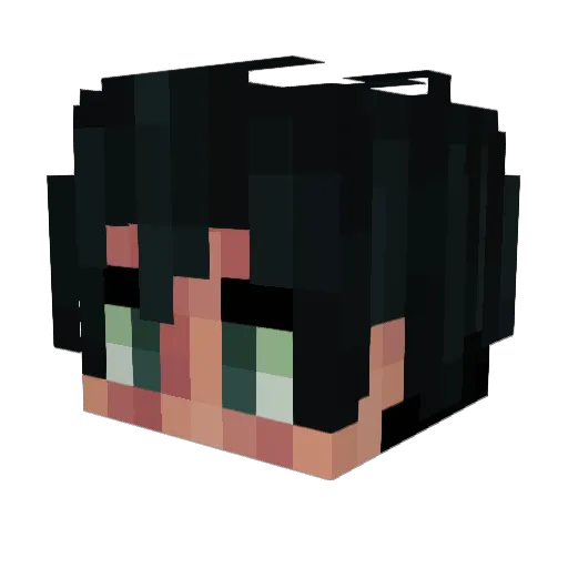 Hoptimus_92 Minecraft avatar head, 3D render