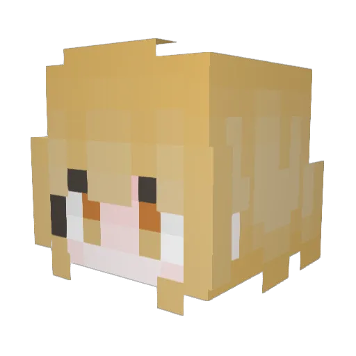 Hoptops Minecraft avatar head, 3D render