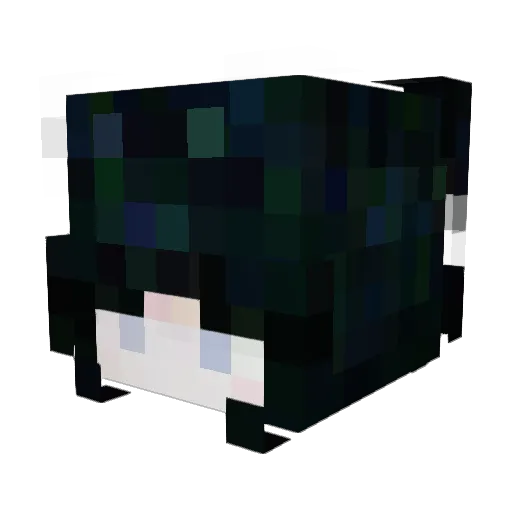 Hordich Minecraft avatar head, 3D render