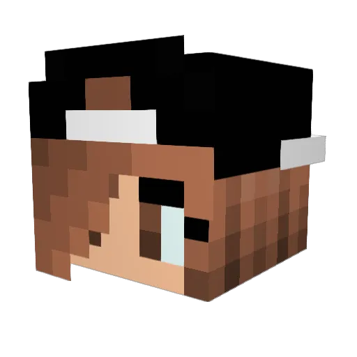 Horizon998 Minecraft avatar head, 3D render