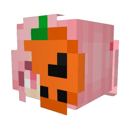 Horizontalit Minecraft avatar head, 3D render