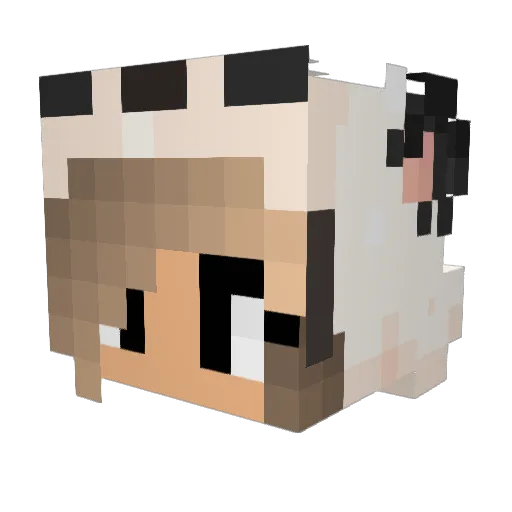 HornyPoptarts Minecraft avatar head, 3D render