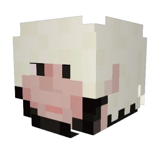Horor123313 Minecraft avatar head, 3D render