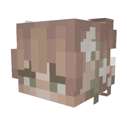 HorribleBacon50 Minecraft avatar head, 3D render