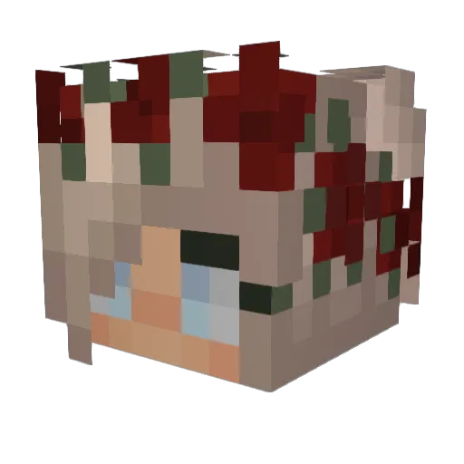 Horse46 Minecraft avatar head, 3D render