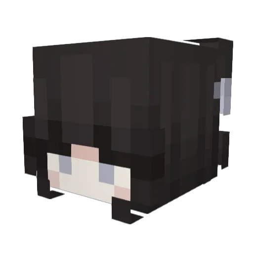 HorseGirl224 Minecraft avatar head, 3D render