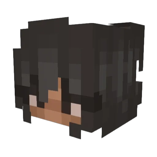 HorseLover229 Minecraft avatar head, 3D render