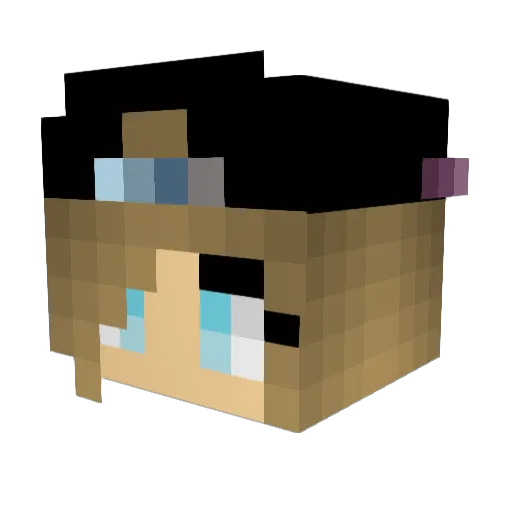 Horseeeees Minecraft avatar head, 3D render