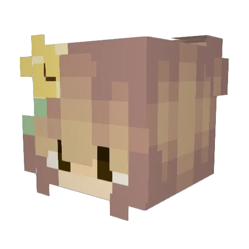 Horsegirl497 Minecraft avatar head, 3D render