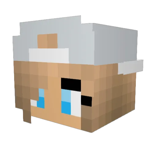 Horsey_Lover14 Minecraft avatar head, 3D render