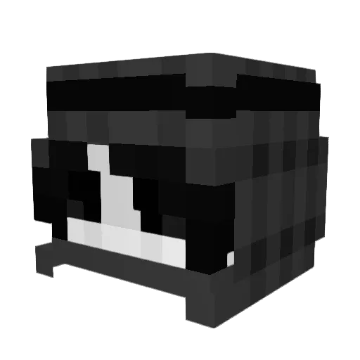 Hort__Hannes Minecraft avatar head, 3D render
