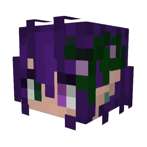 Hosedrache73 Minecraft avatar head, 3D render