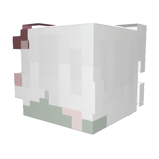 Hosefly Minecraft avatar head, 3D render