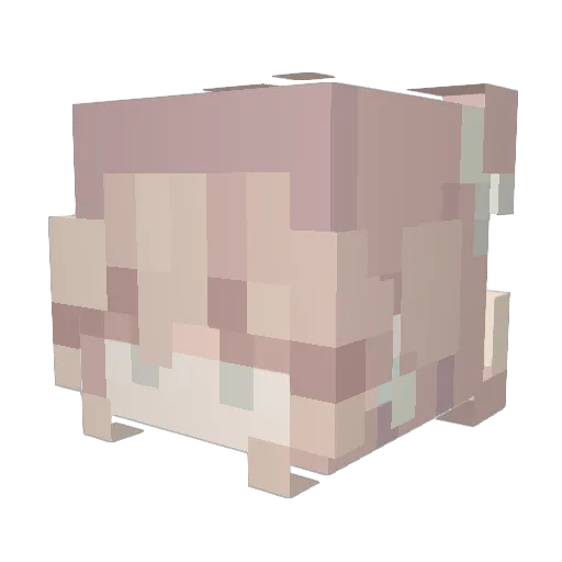 Hoshi171 Minecraft avatar head, 3D render
