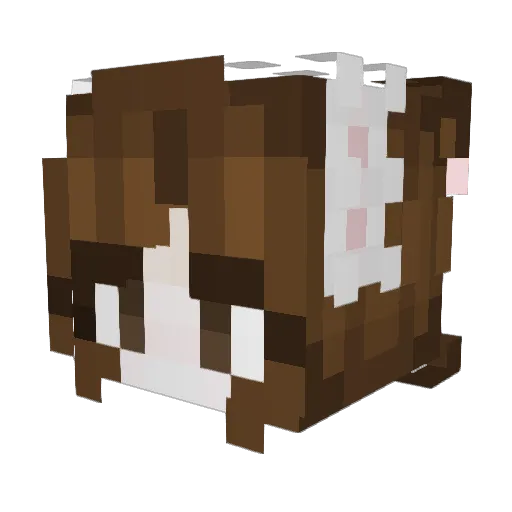 Hoshi1850 Minecraft avatar head, 3D render