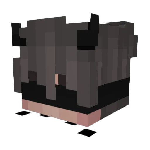 Hoshi_27 Minecraft avatar head, 3D render