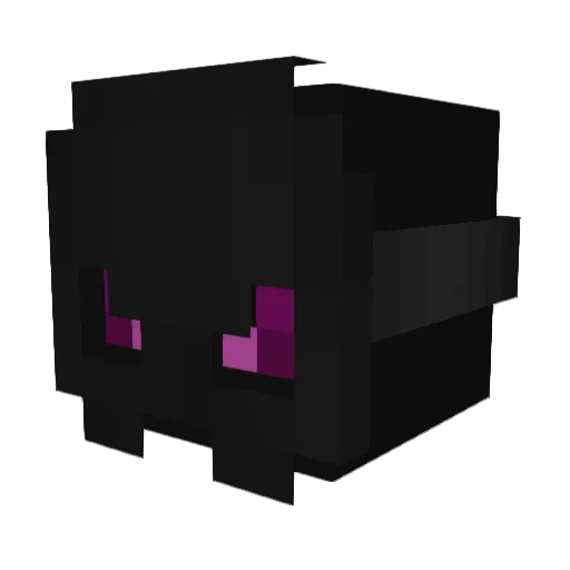 Hoshi_uwu Minecraft avatar head, 3D render